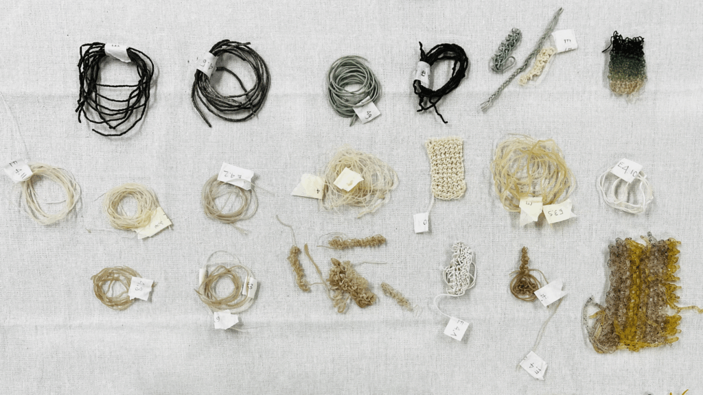 WORKSHOP - MATERIAL TO WEAR?